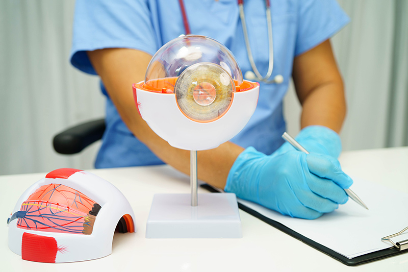 An ophthalmologist during a patient consultation